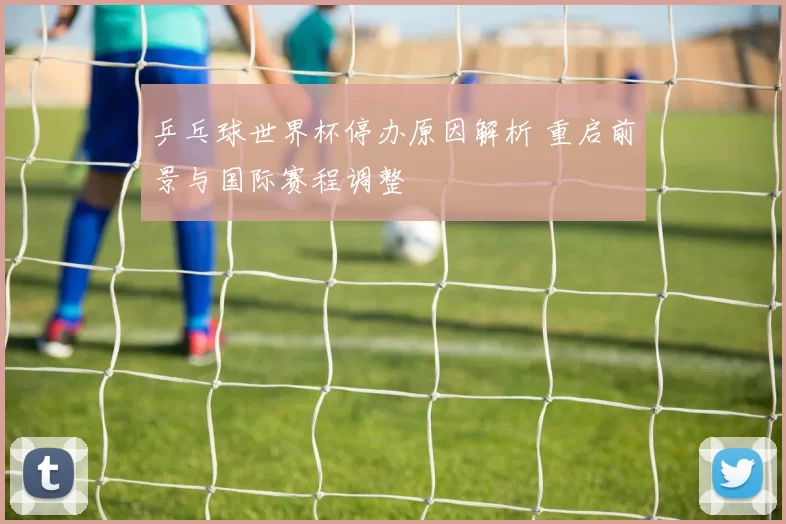 乒乓球世界杯停办原因解析 重启前景与国际赛程调整