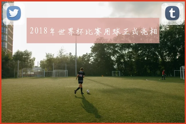 2018年世界杯比赛用球正式亮相