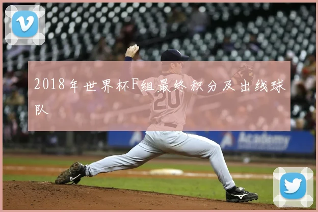2018年世界杯F组最终积分及出线球队